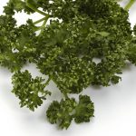 この野菜も？付け合わせ野菜の大切さ初めて知ったこと