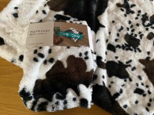 【ニトリ】押し入れ収納と雑貨